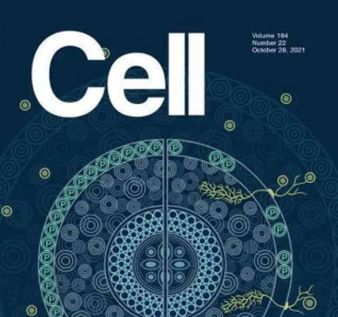 祝賀王二濤老師團(tuán)隊(duì)又一佳作榮登Cell期刊！