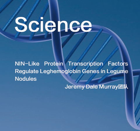 祝賀Jeremy Dale Murray團(tuán)隊(duì)佳作榮登Science期刊！